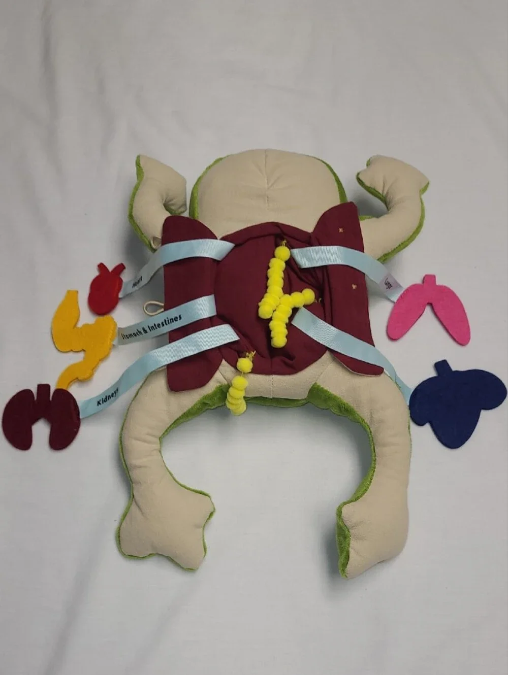 KiwiCo Plush Green Froggie Dissection Lab Soft STEM learning, interactive, learn